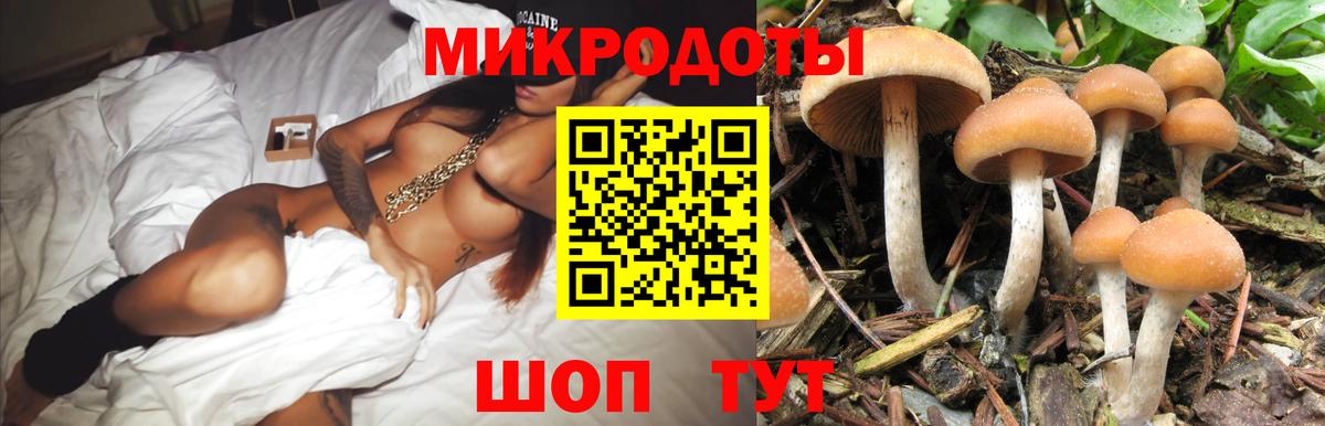 Нефтеюганск  Галлюциногенные грибы прущие грибы  Вход с VPN 